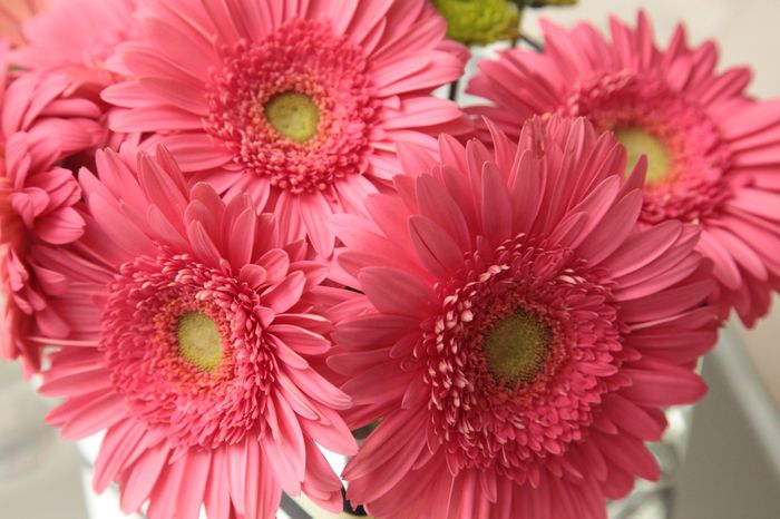 Need help with flowers!