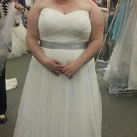 Dress Shopping Attempt #2