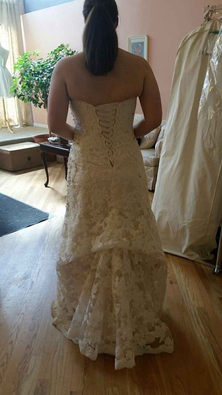 Show me your bustles