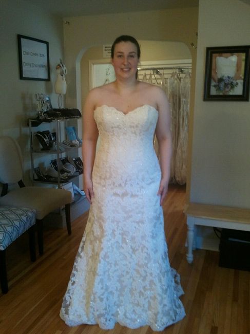Plus Size Brides