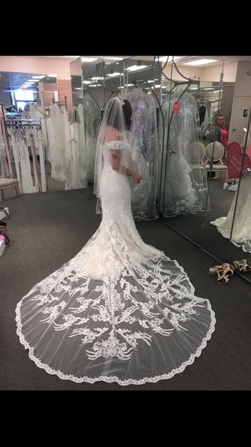 Dress Help! Please post your gowns!! 8