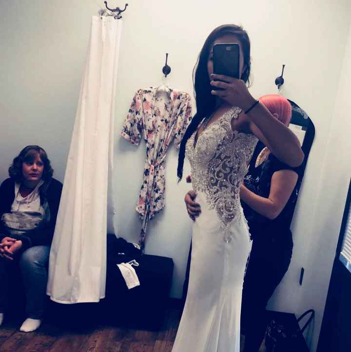 My Dress Came In!!! - Please share yours 😆 - 1