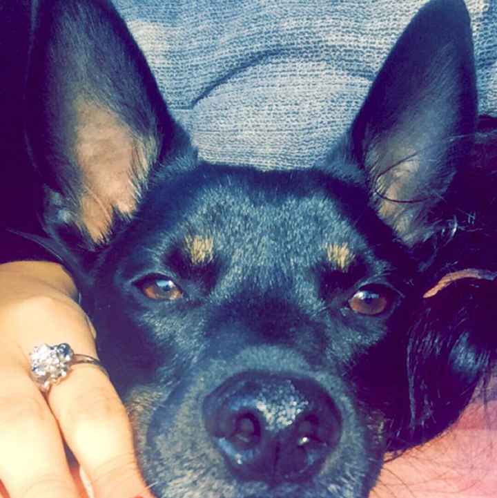 Positive Morning! - 1