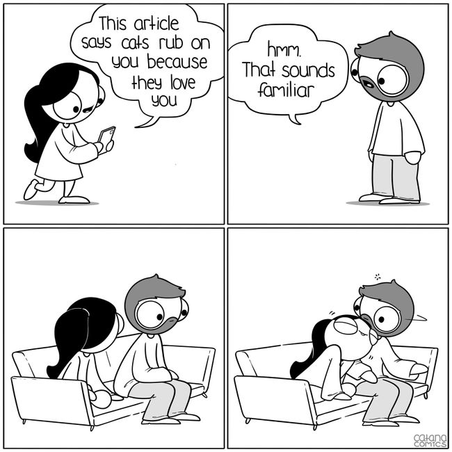 Meme your relationship! 2