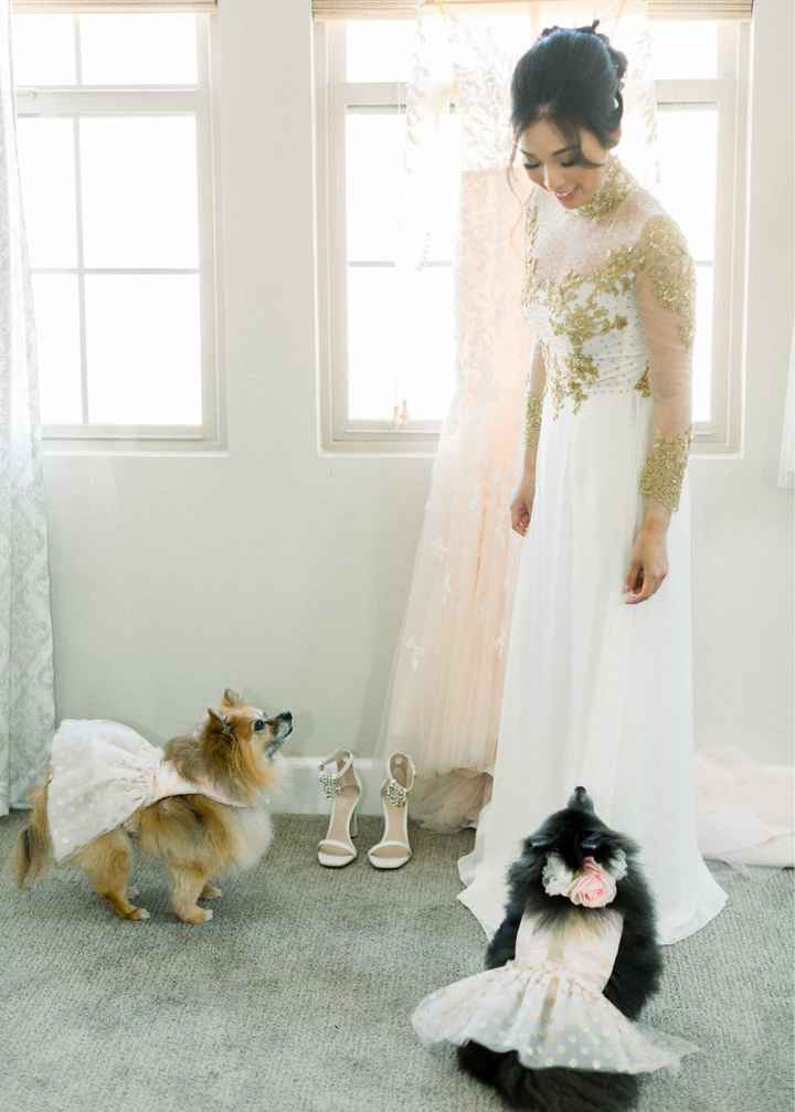 4 dogs - 2