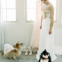4 dogs - 2