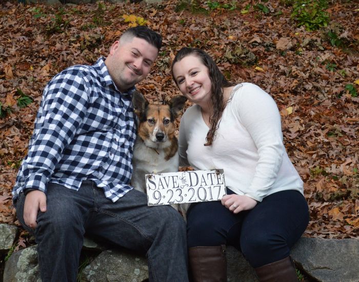My dogs in my engagement pictures