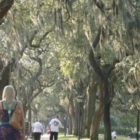 Good and not so expensive places to honeymoon in the U.S....