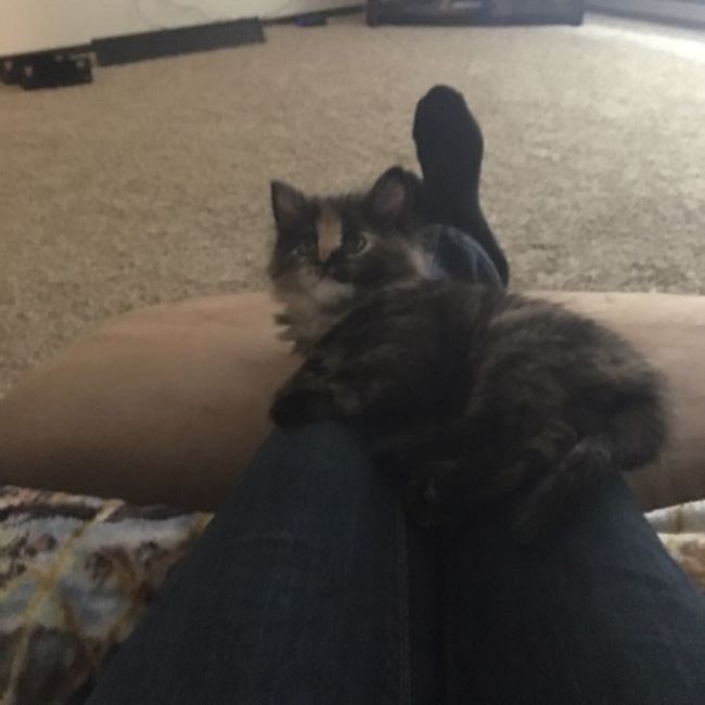 NWR:  Furbaby!