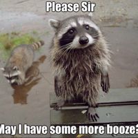 Show Me Your... Party Favors!
