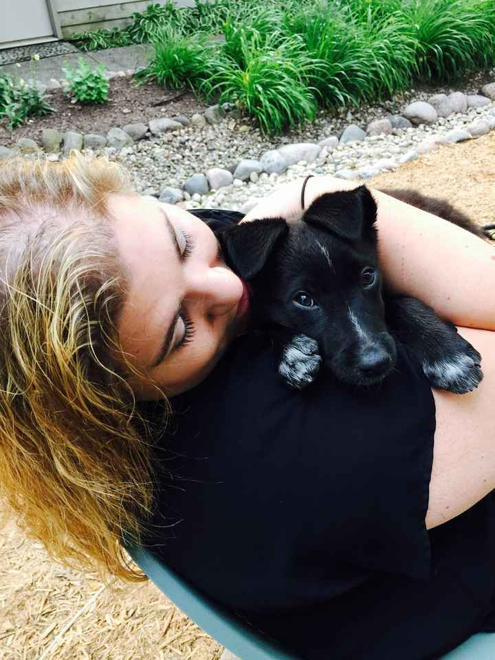Adding puppy into wedding?