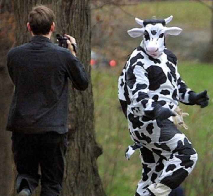 Hiding Personal Cows