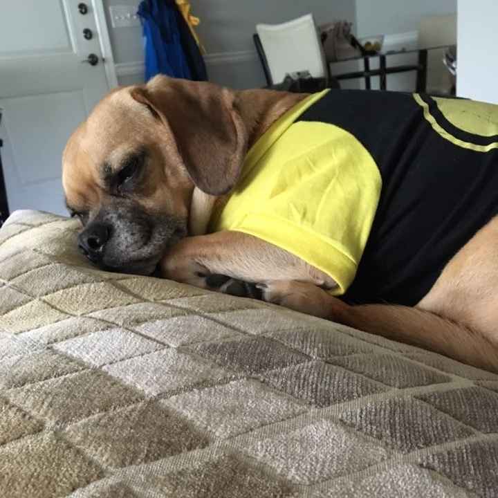 Better late than never