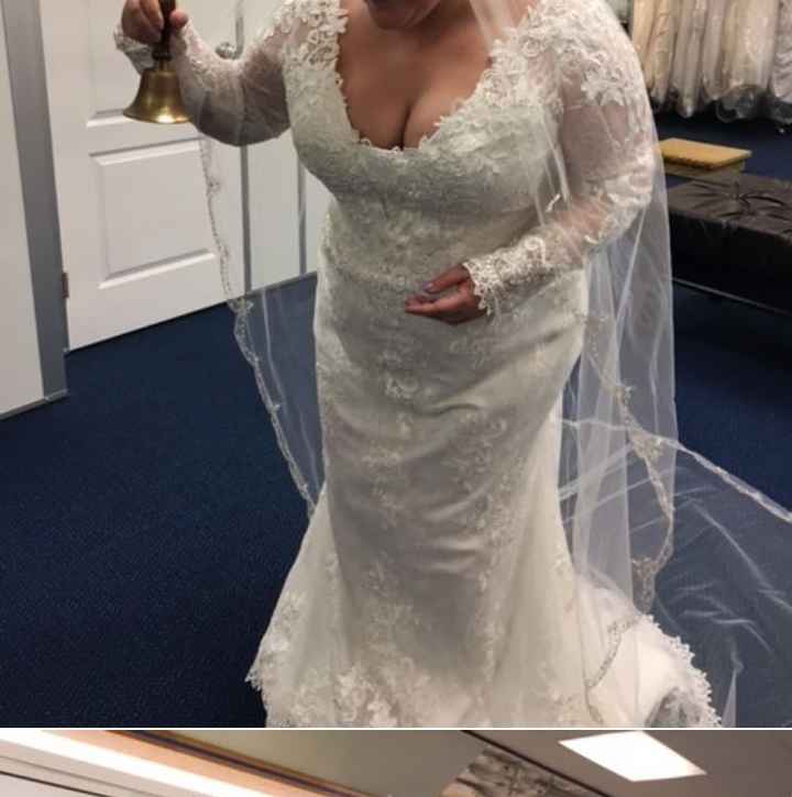 Plus size brides