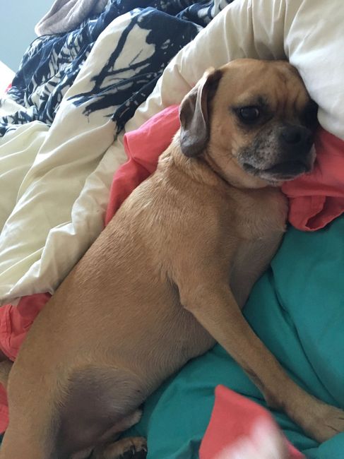 NWR: Puppy Friday!!