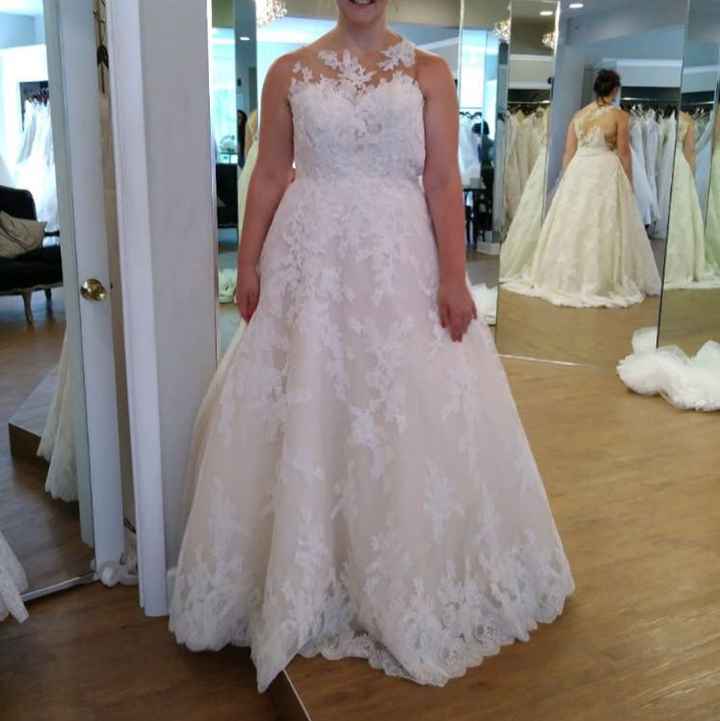 Shopping tomorrow, busty, petite, plus size - 1