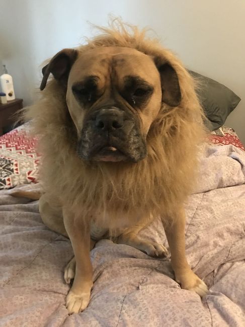 NWR: Show me your fur babies
