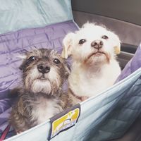 NWR: How could you even consider it?