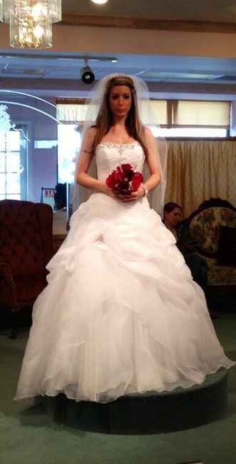 I saw my dress!! *pics