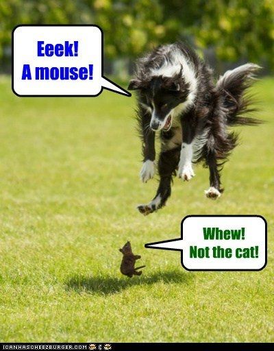 It's Friday!  Hit me with your best shot!
