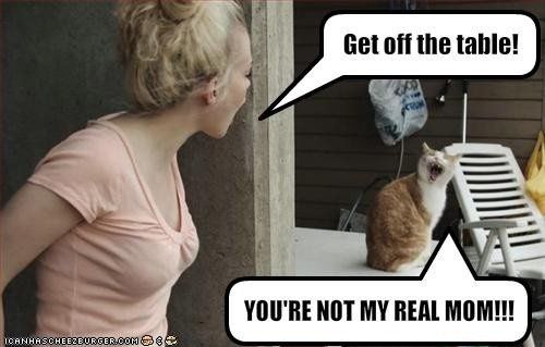 Friday Animal Humor