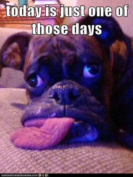 9/11 anniversary and FH - today officially blows. What do you do to cheer yourself up?