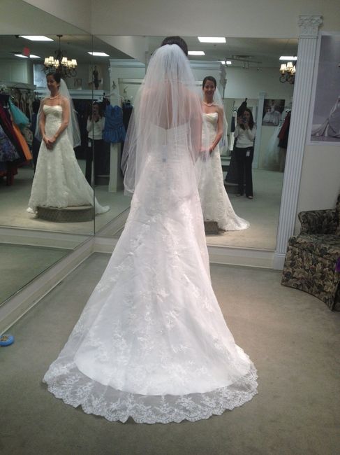 Final Fitting last night! *pics*