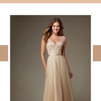 Clueless...bridesmaid attire - 1