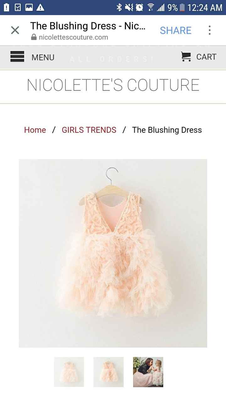 Looking for specific flower girl dress.. help! - 1
