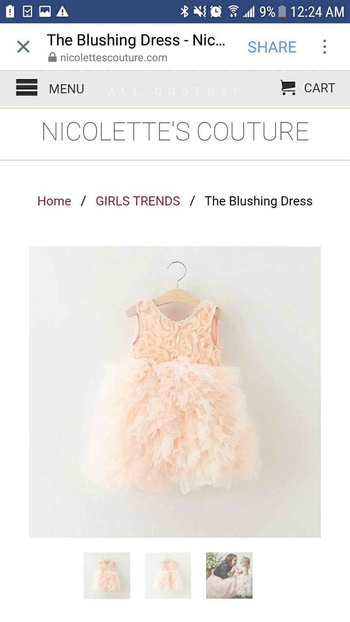 Looking for specific flower girl dress.. help! - 3