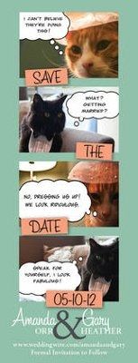 Are you (did you) including your pet/fur-baby in your wedding?