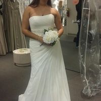 Davids Bridal Dresses!