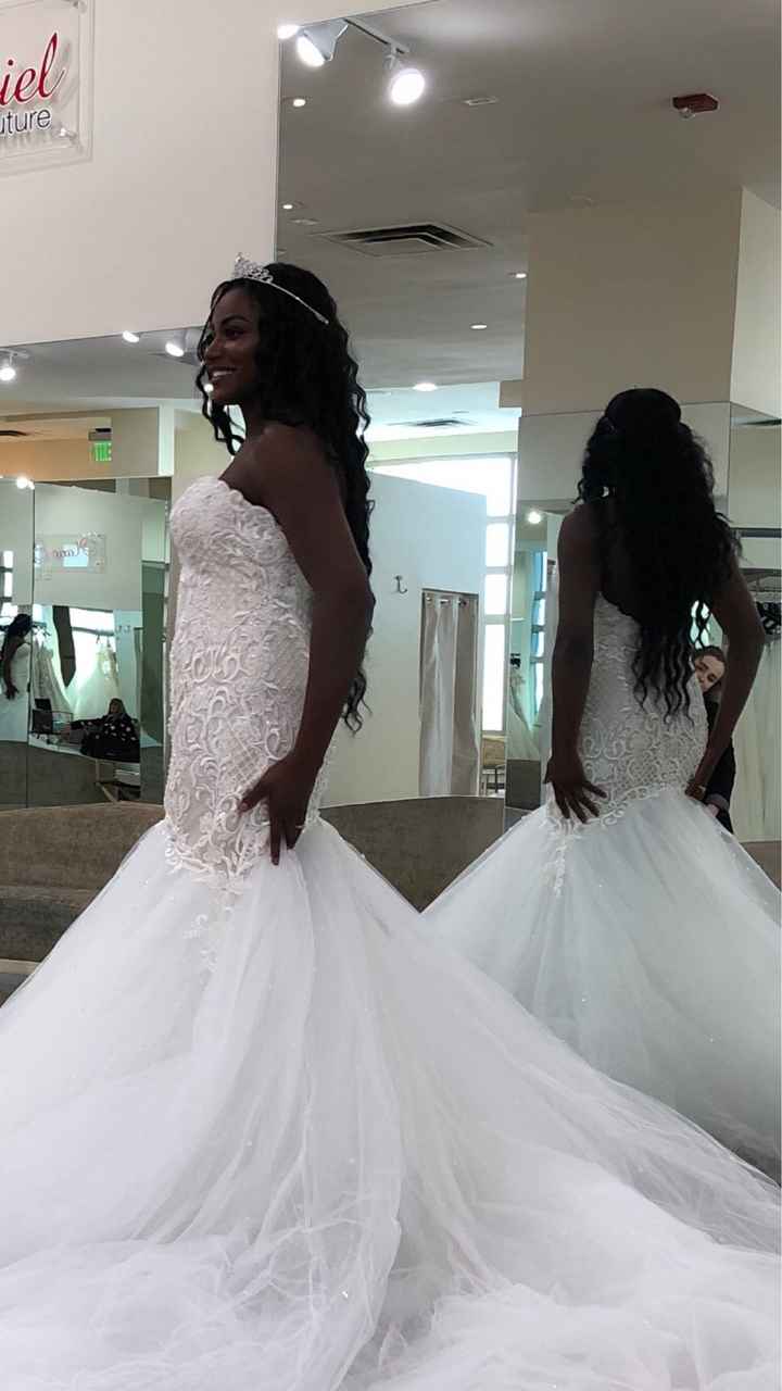 Veil, No Veil Photos - 3