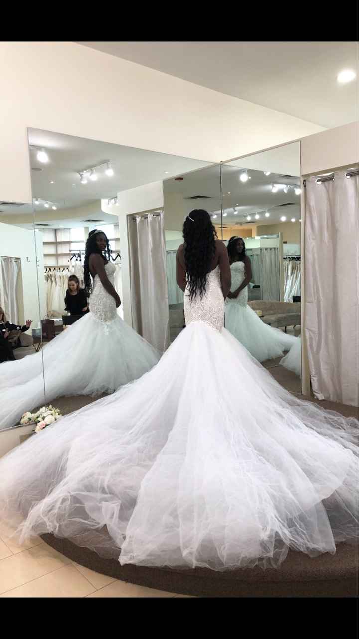 Veil, No Veil Photos - 4