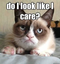 So I'm in one of those anti-planning moods...