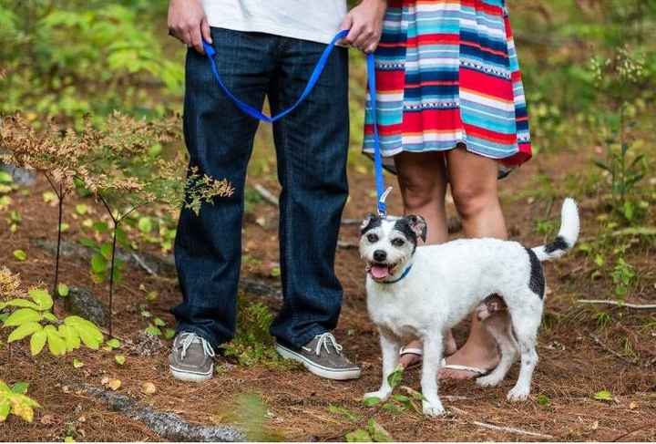 Spin Off: Share your Favorite Engagement Picture!