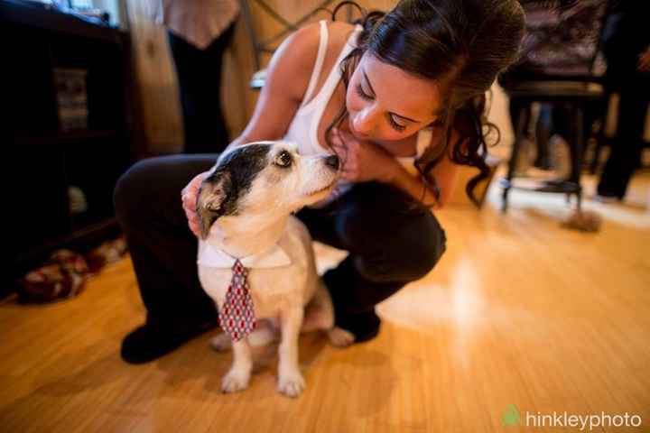 Engagement Photos with Pets: Share Your Tips and Pics!