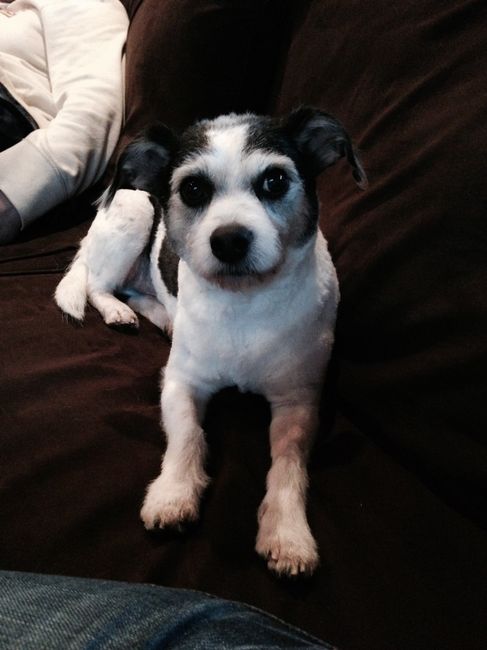 NWR Happy Fursday! Show me your fur babies!