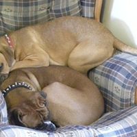 Furbabies!!! Lets show them off!