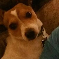 Monetary  or gift list