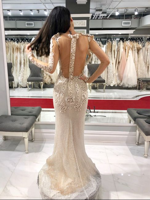 Rime Arodaky + Galia Lahav Gowns 2