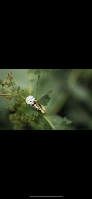 2023 Brides - Show us your ring! 4