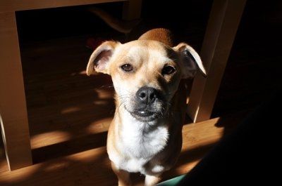 need help settling a looooong argument (NWR)