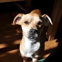 need help settling a looooong argument (NWR)