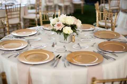 Plastic plates that look like china. Should I have them at my wedding? Picture attached.