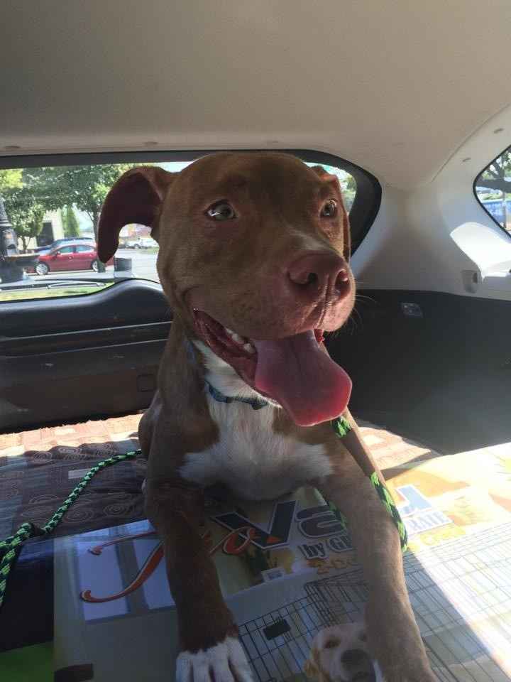 We havent had a pet post in a minute.
