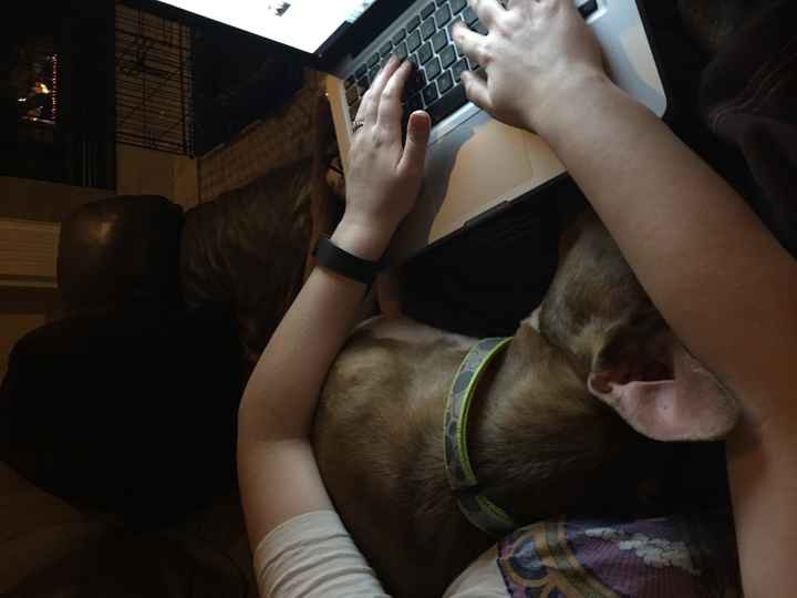 NWR lol people think my dogs are scary..