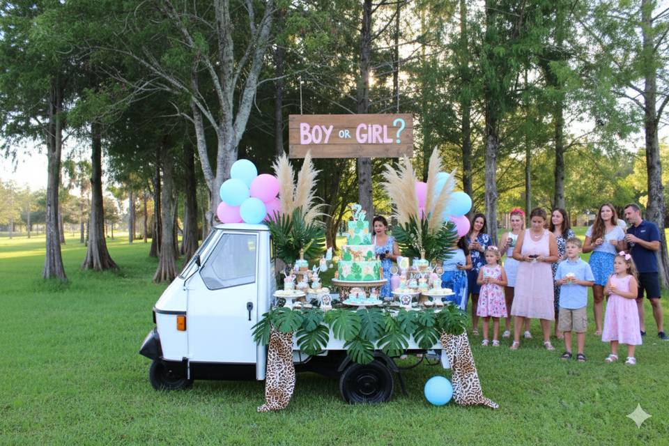 Gender reveal setup