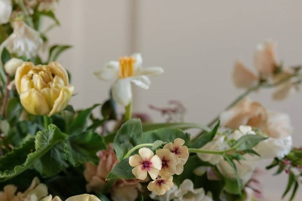 Compote Arrangement