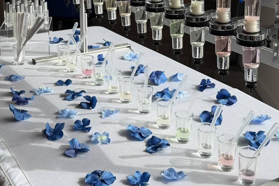 Elegant Scents Co